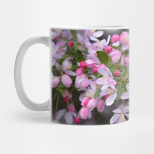 Pink Crab Apple Blossoms Mug